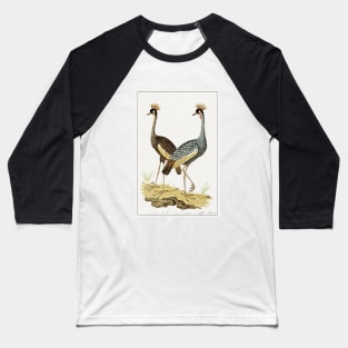 Grey Crowned Crane (1777–1786) Baseball T-Shirt